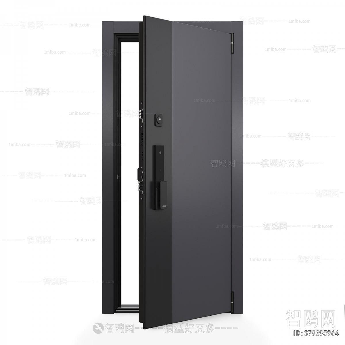 Modern Entrance Door