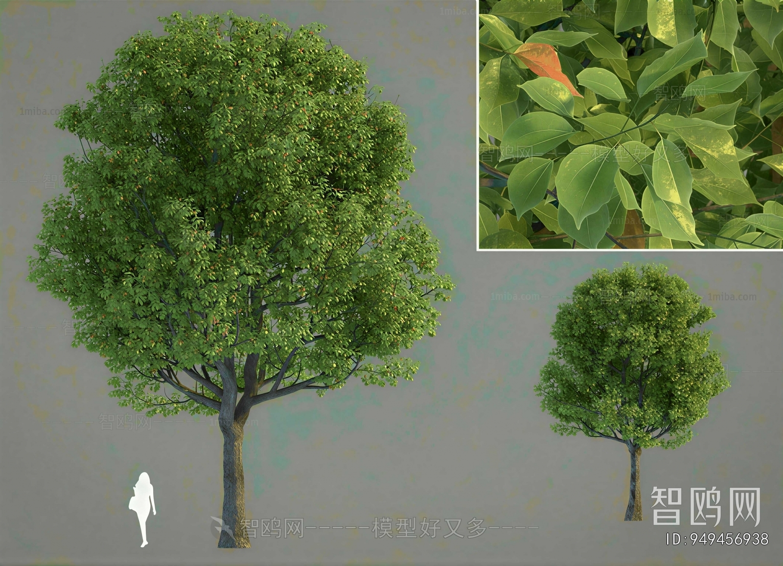Modern Shrubbery