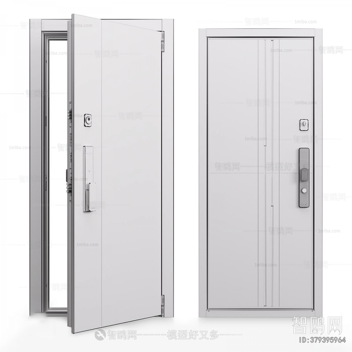 Modern Entrance Door