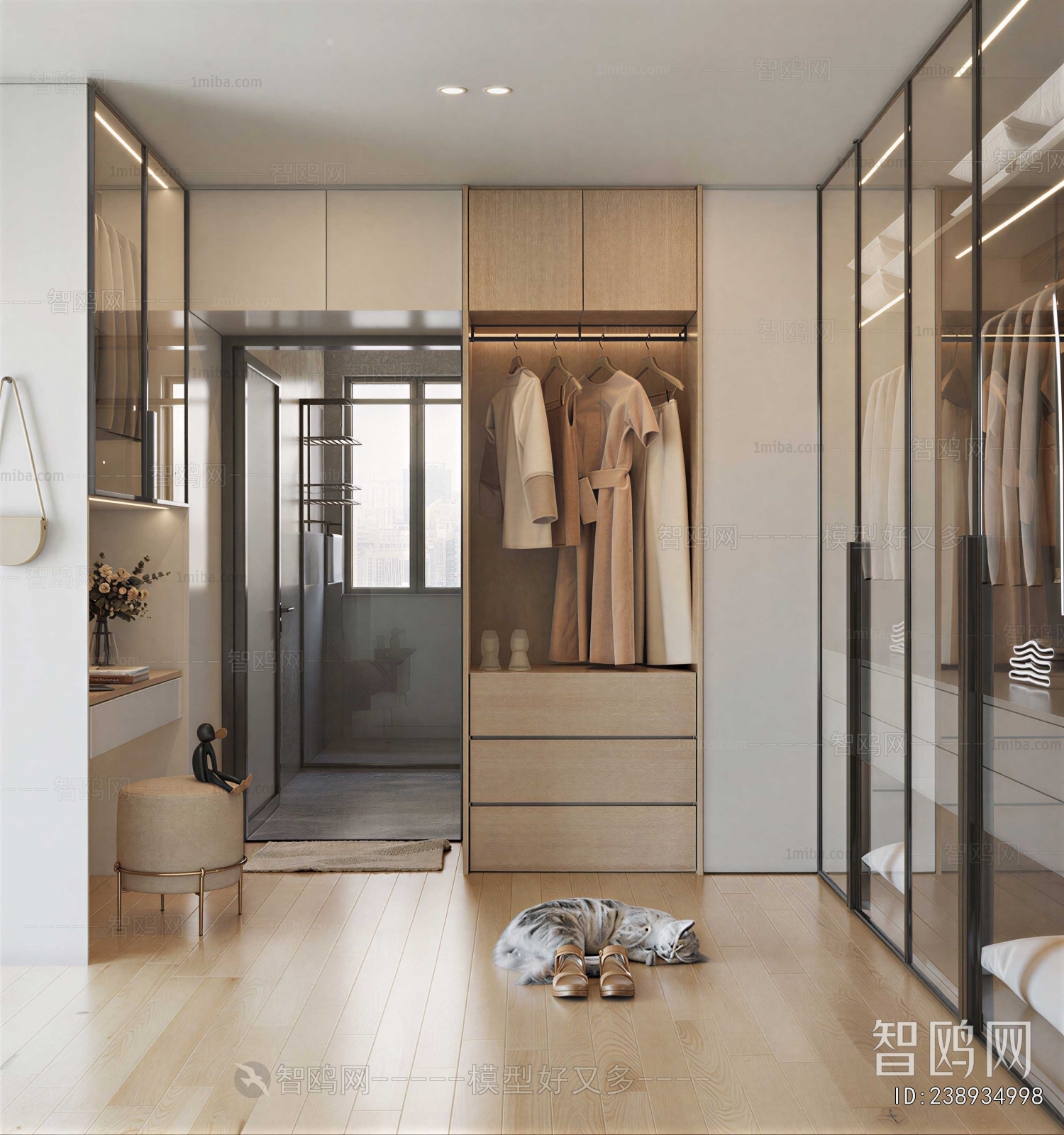 Modern Clothes Storage Area