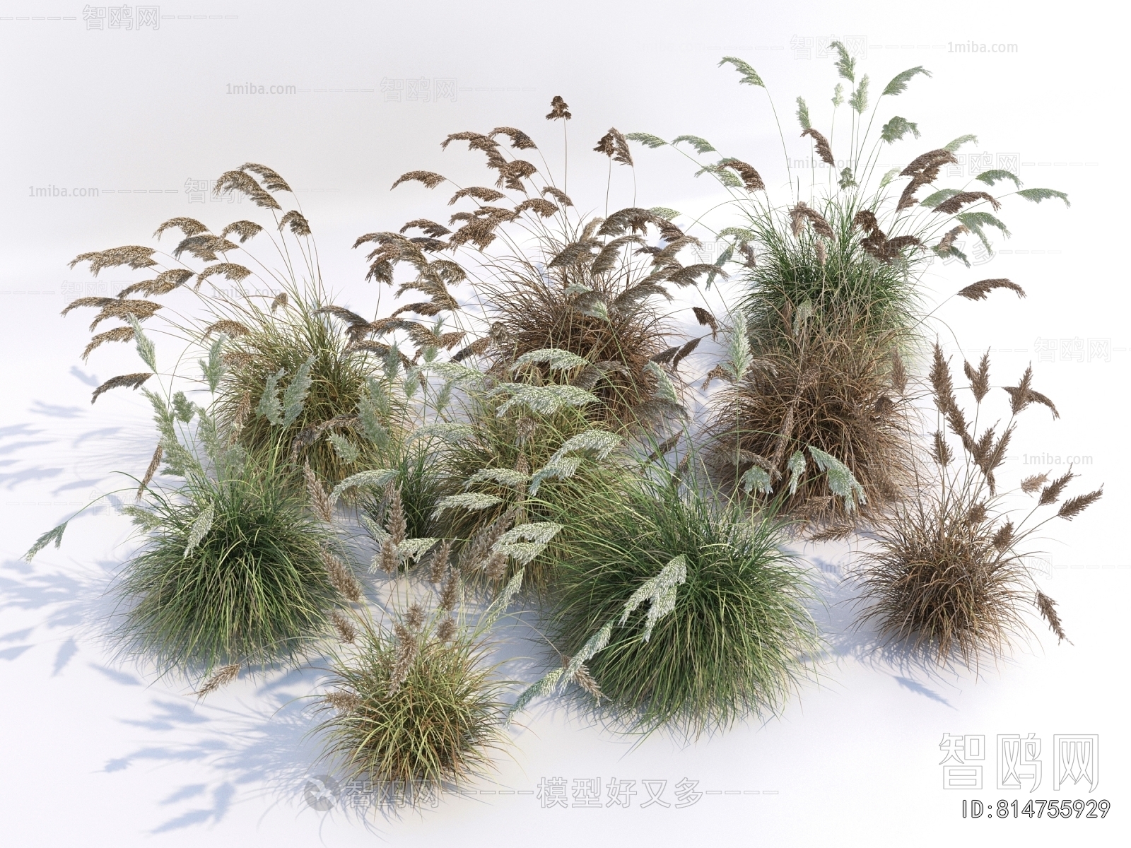 Modern The Grass