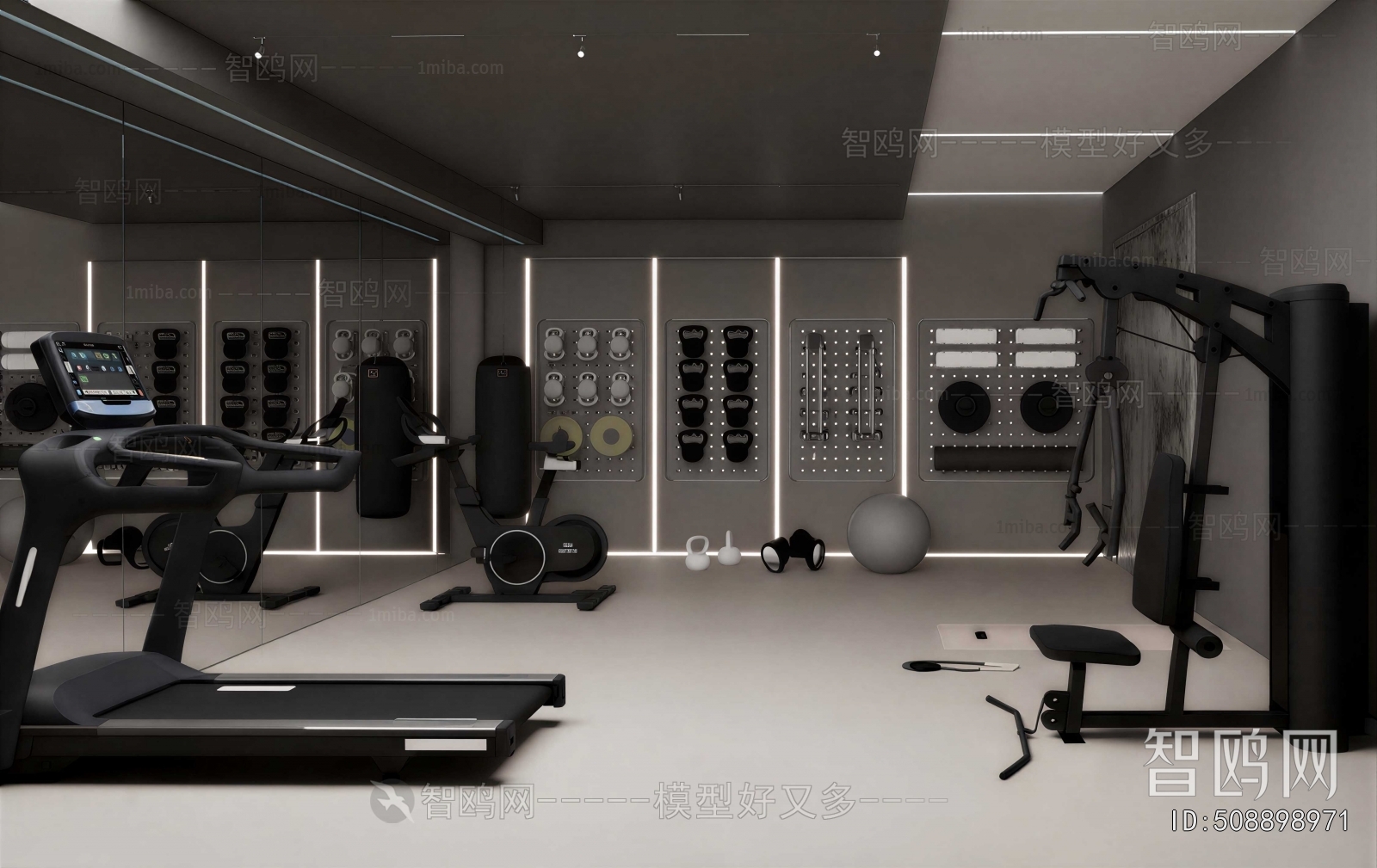 Modern Home Fitness Room