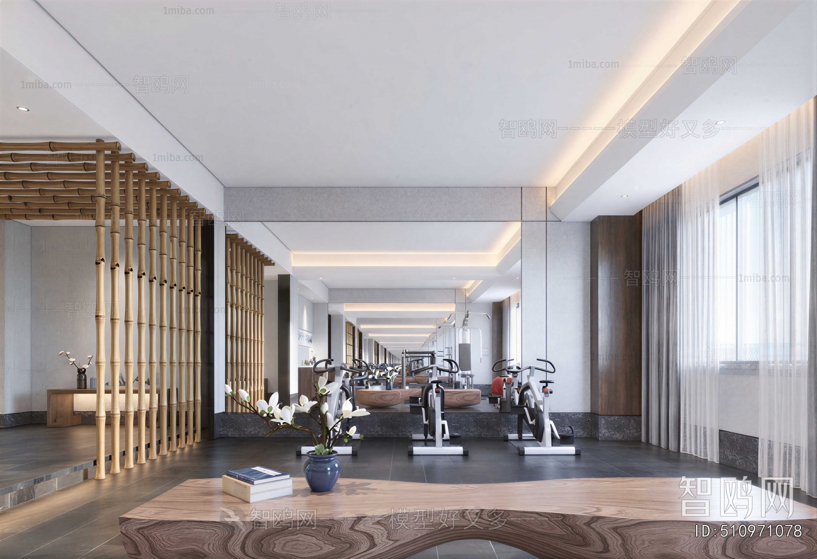 Modern Gym