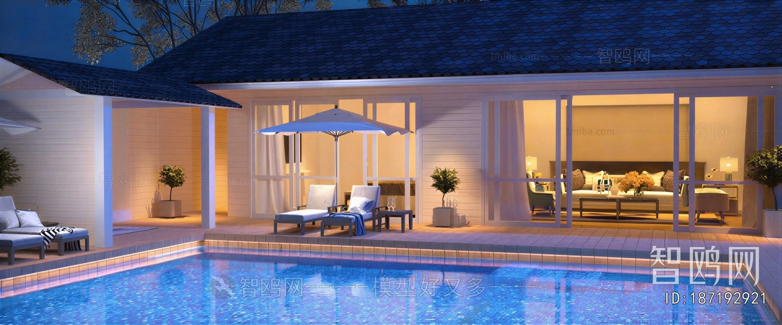 Modern Swimming Pool