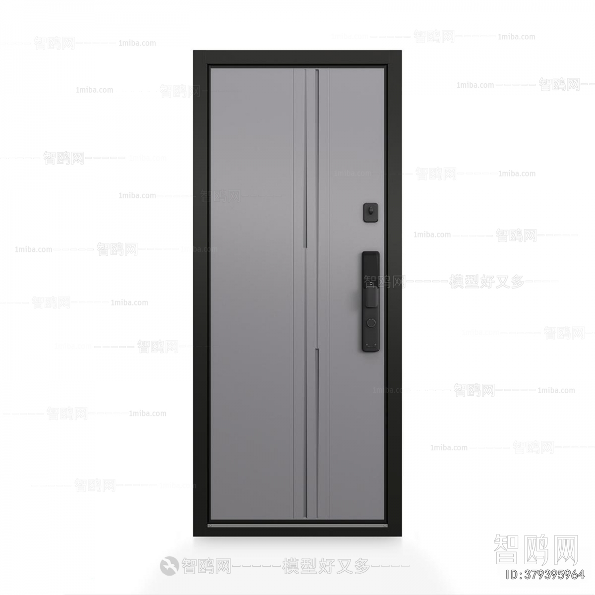 Modern Entrance Door