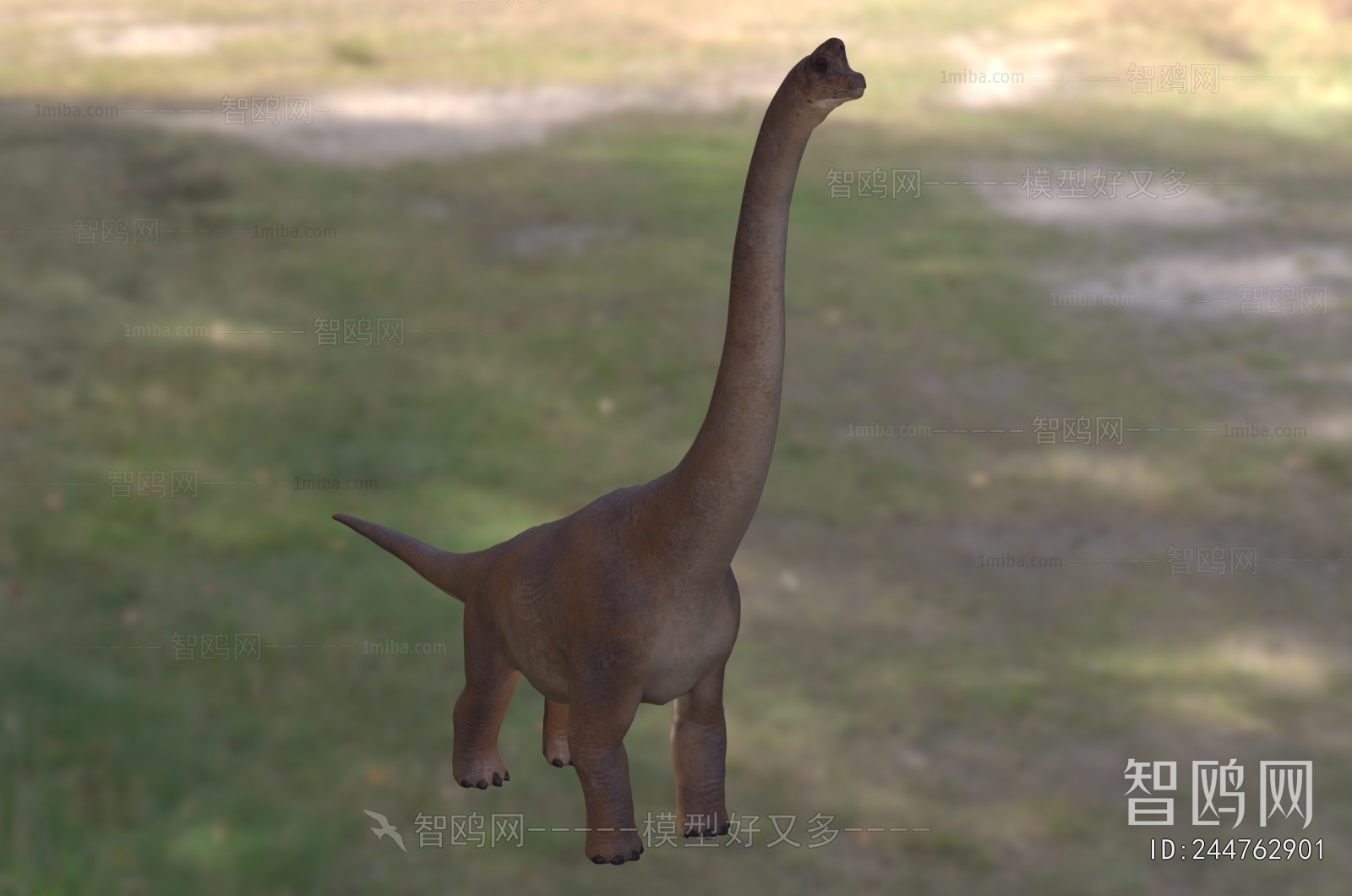 Modern Mammal