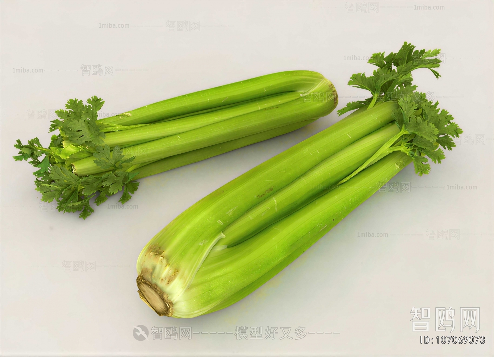 Modern Vegetables