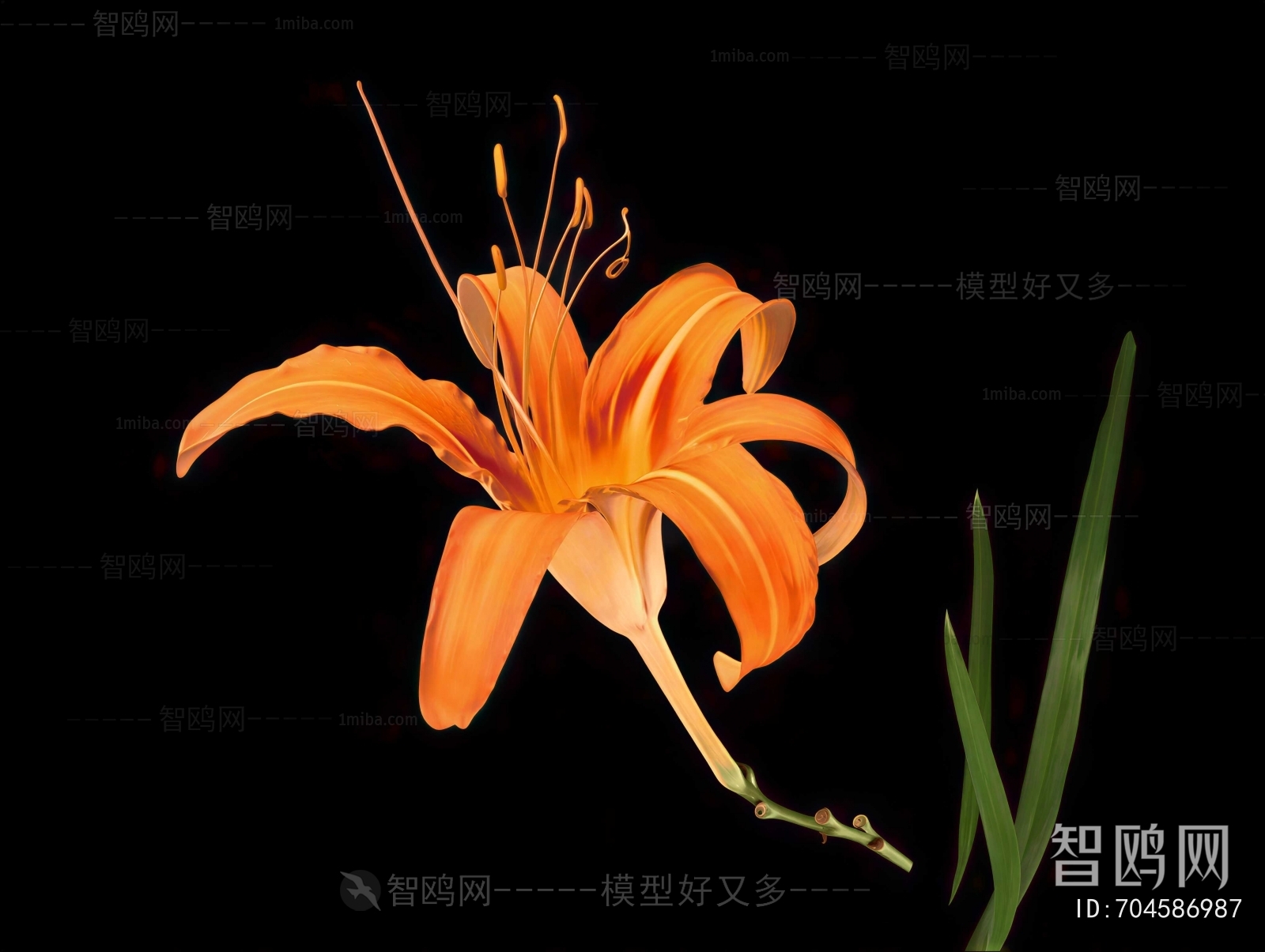 Modern Flowers And Grass