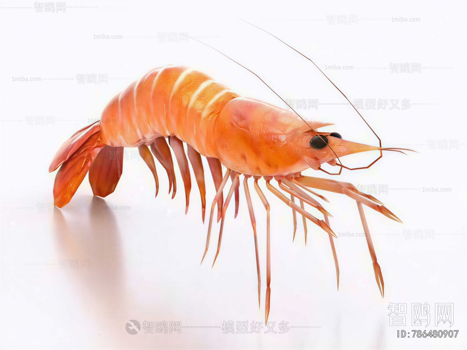 Modern Aquatic Product
