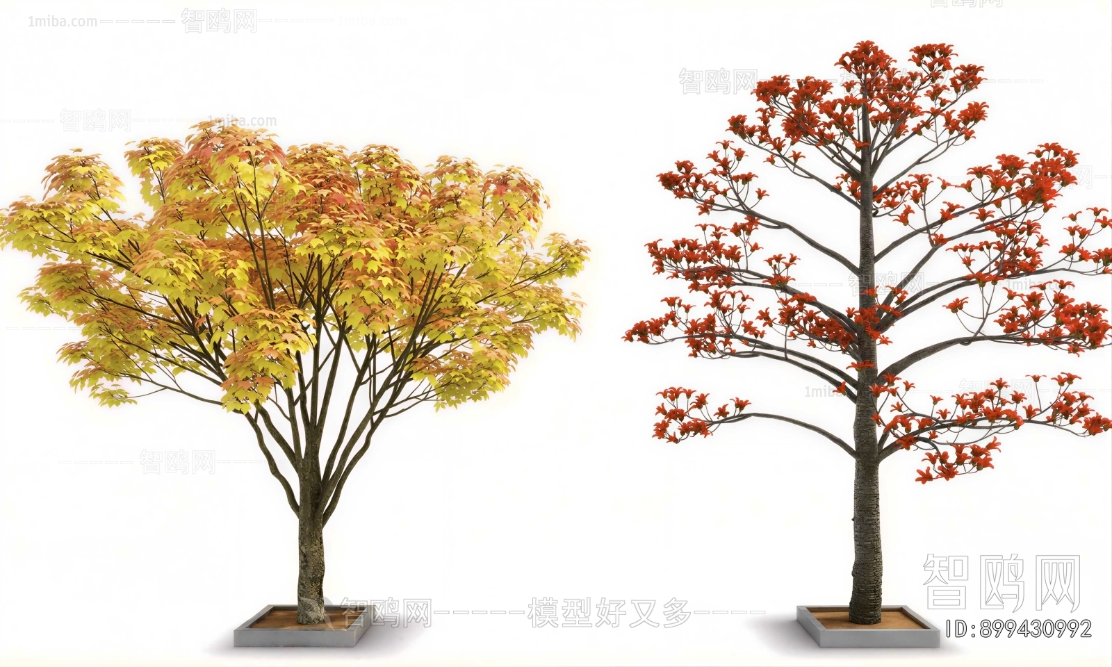 Modern Tree