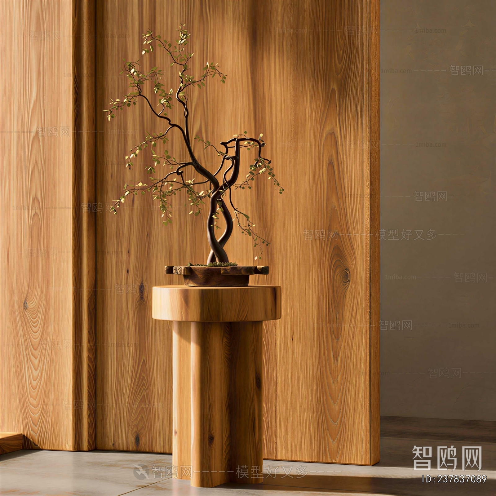 Japanese Style Bonsai