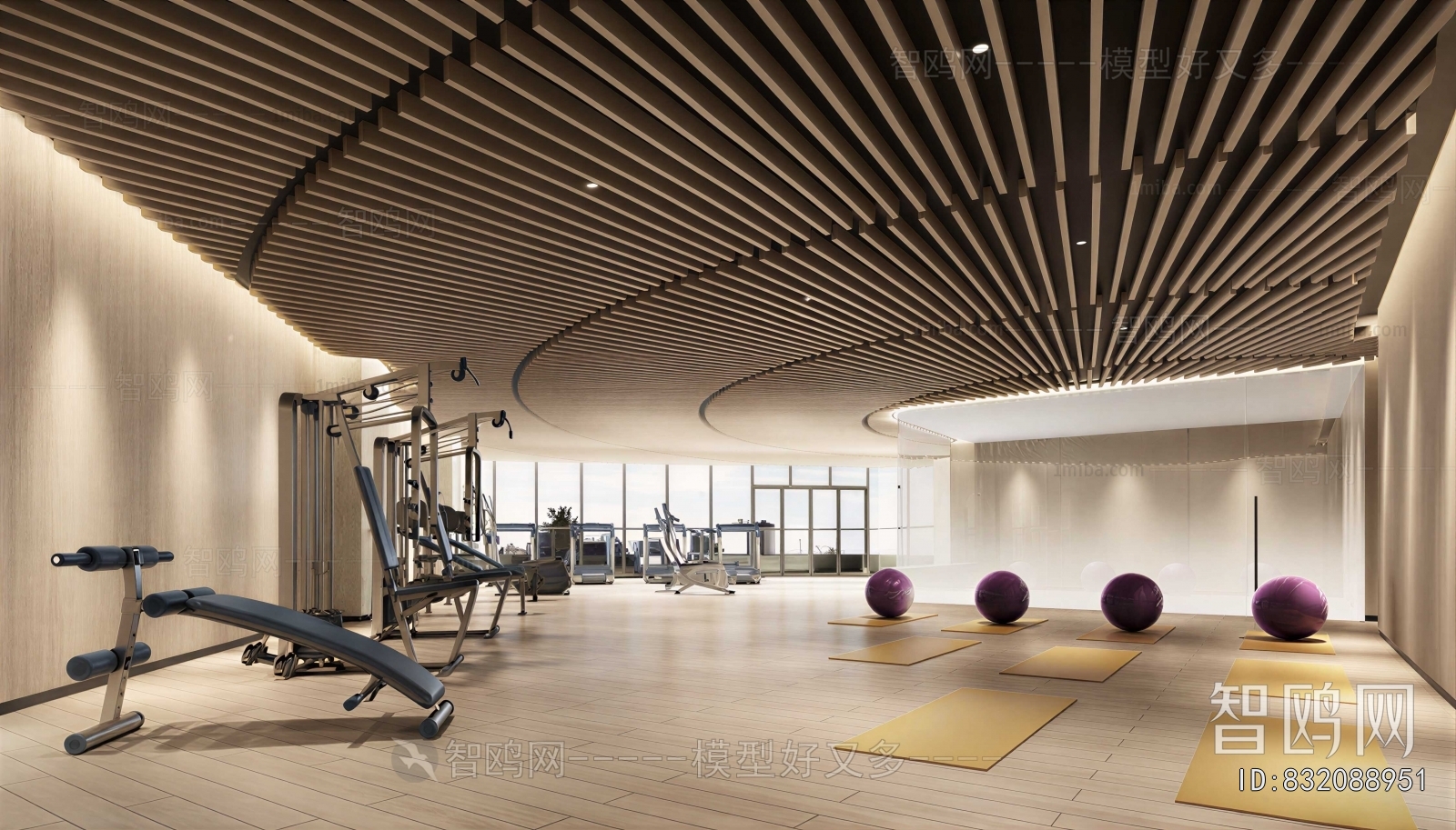 Modern Gym