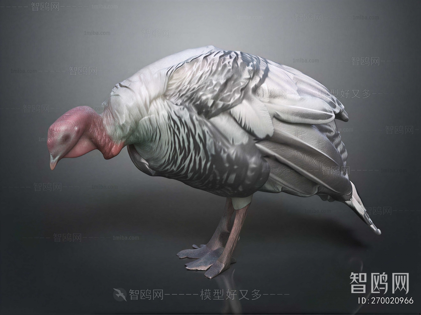 Modern Flying Animals