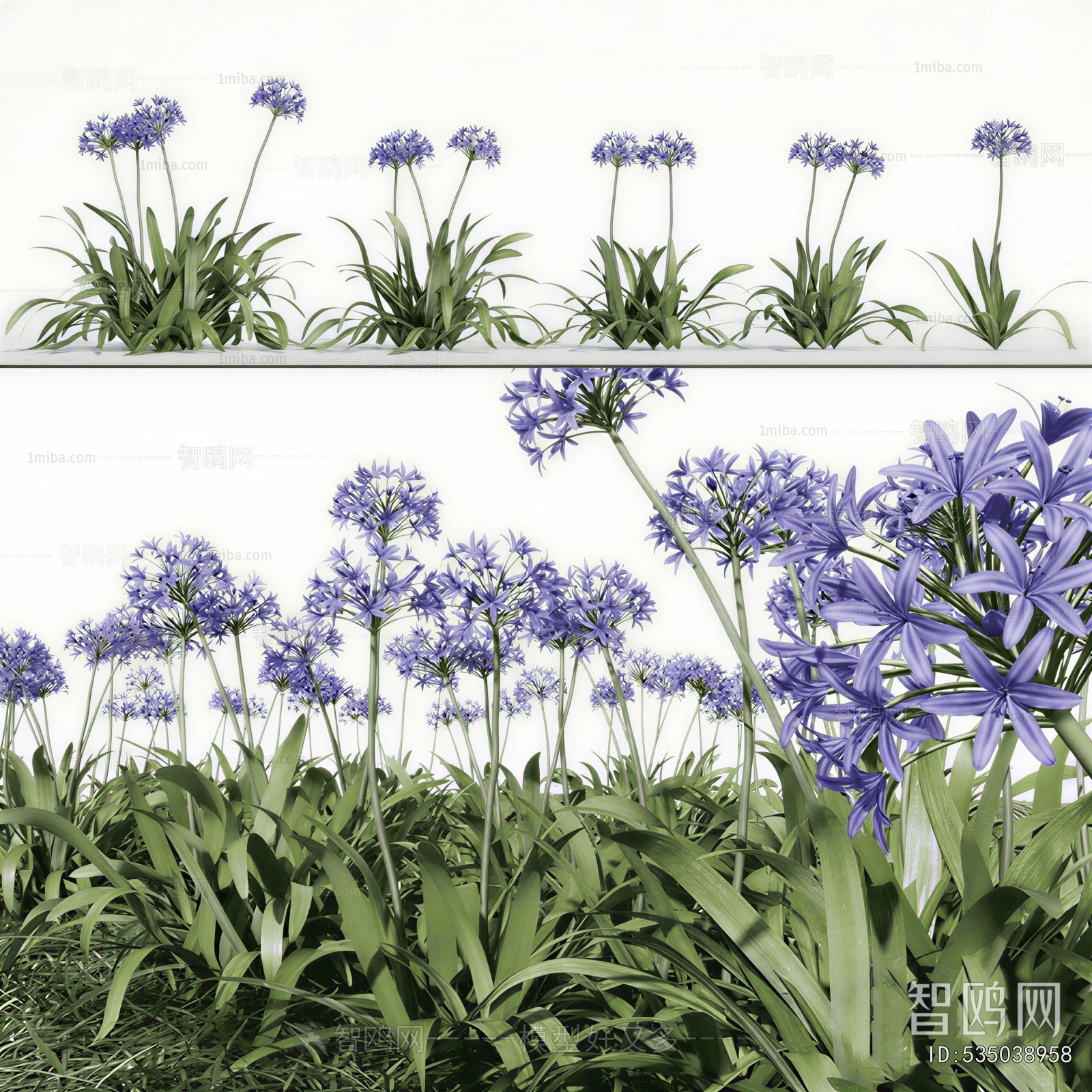 Modern Flowers And Grass