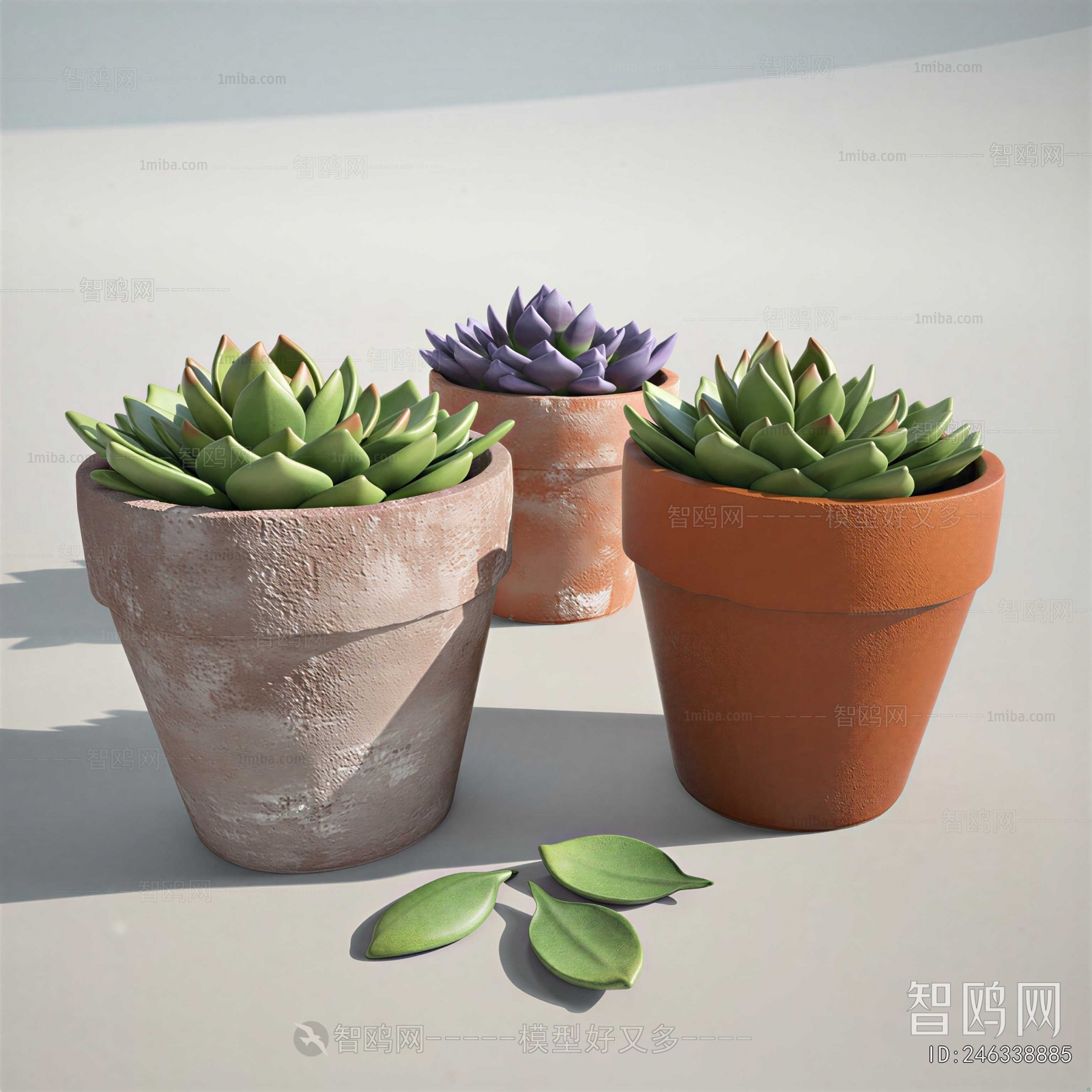 Modern Desktop Plant