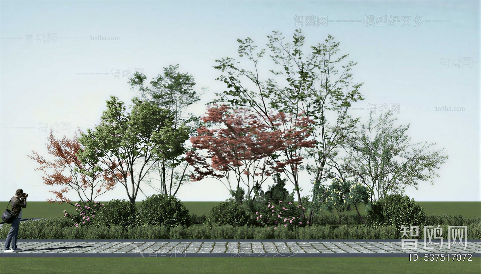 Modern Garden