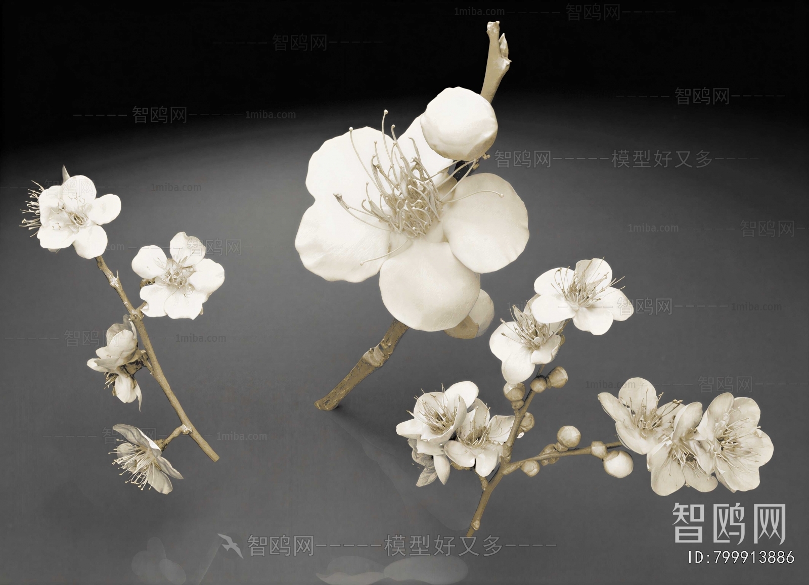 Modern Flowers And Grass
