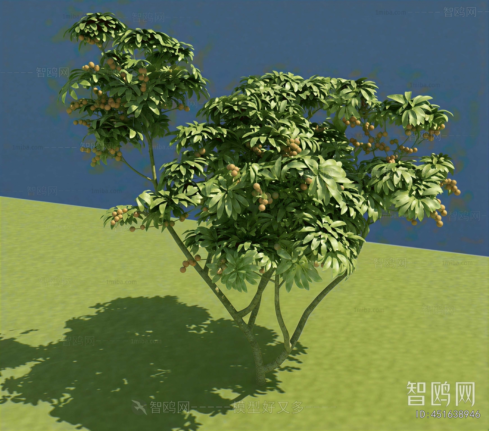 Modern Tree