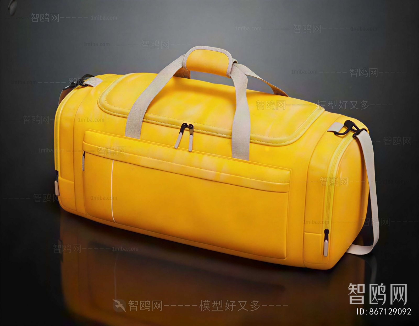 Modern Lady's Bag