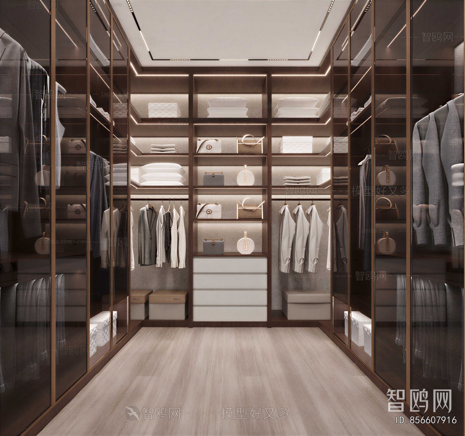 Modern Clothes Storage Area