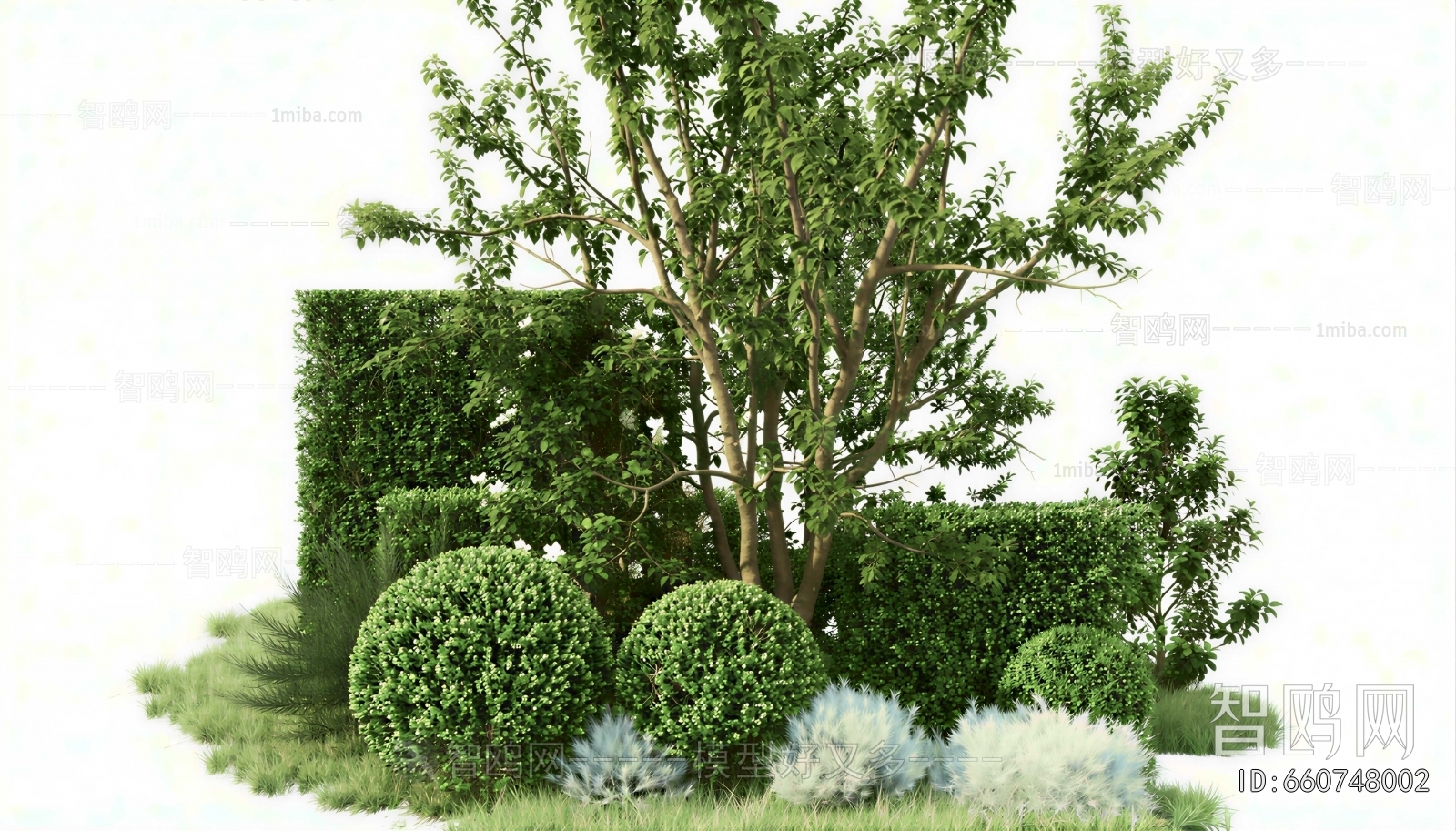 Modern Shrubbery