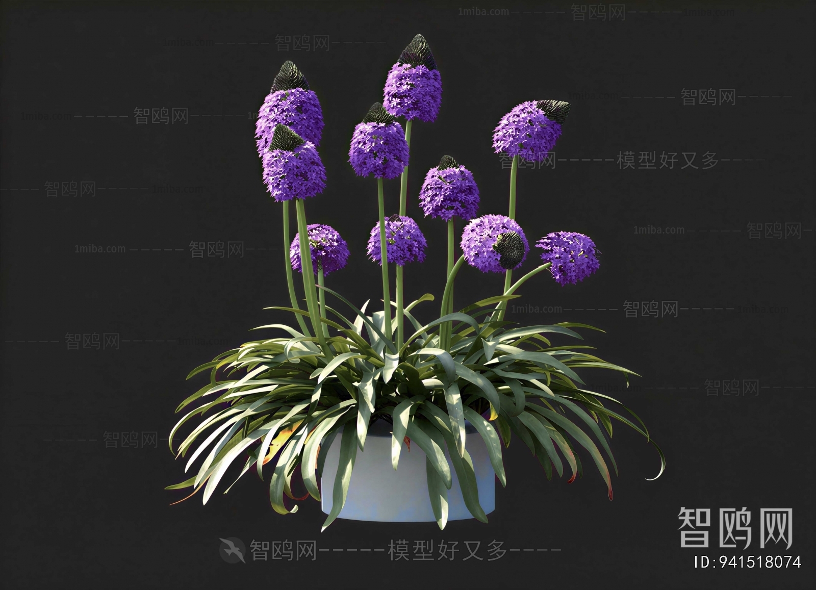 Modern Flowers And Grass