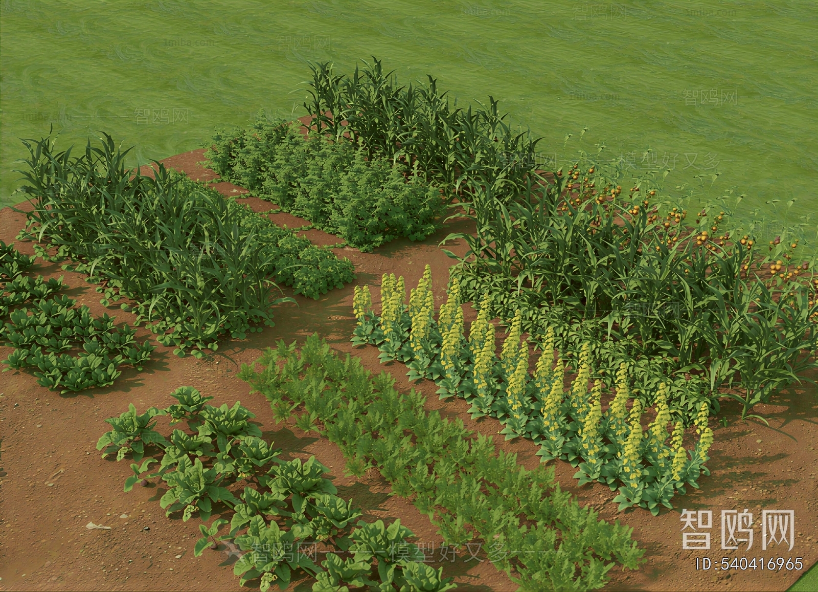 Modern Crop
