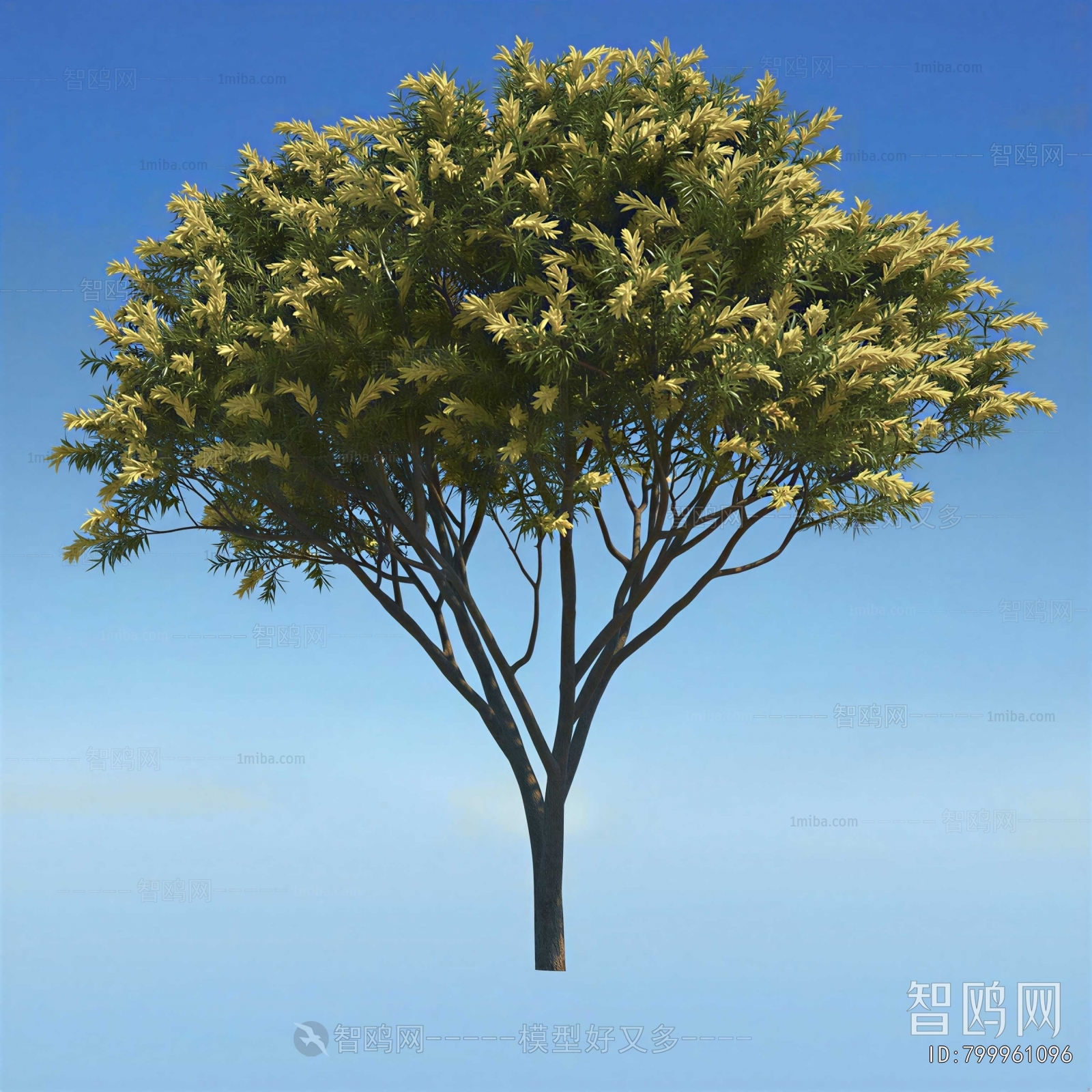 Modern Tree