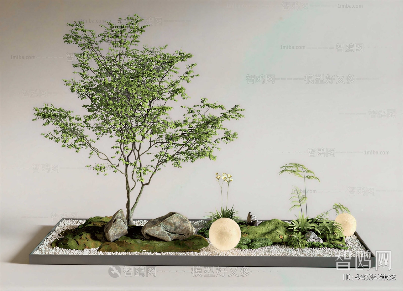 Modern Plant Landscaping