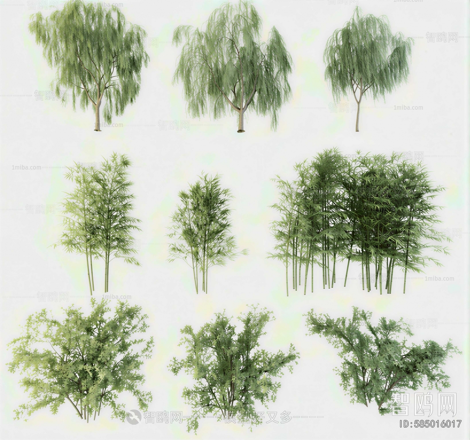 Modern Bamboo