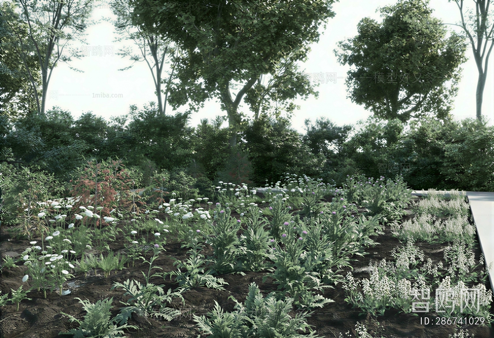 Modern Crop