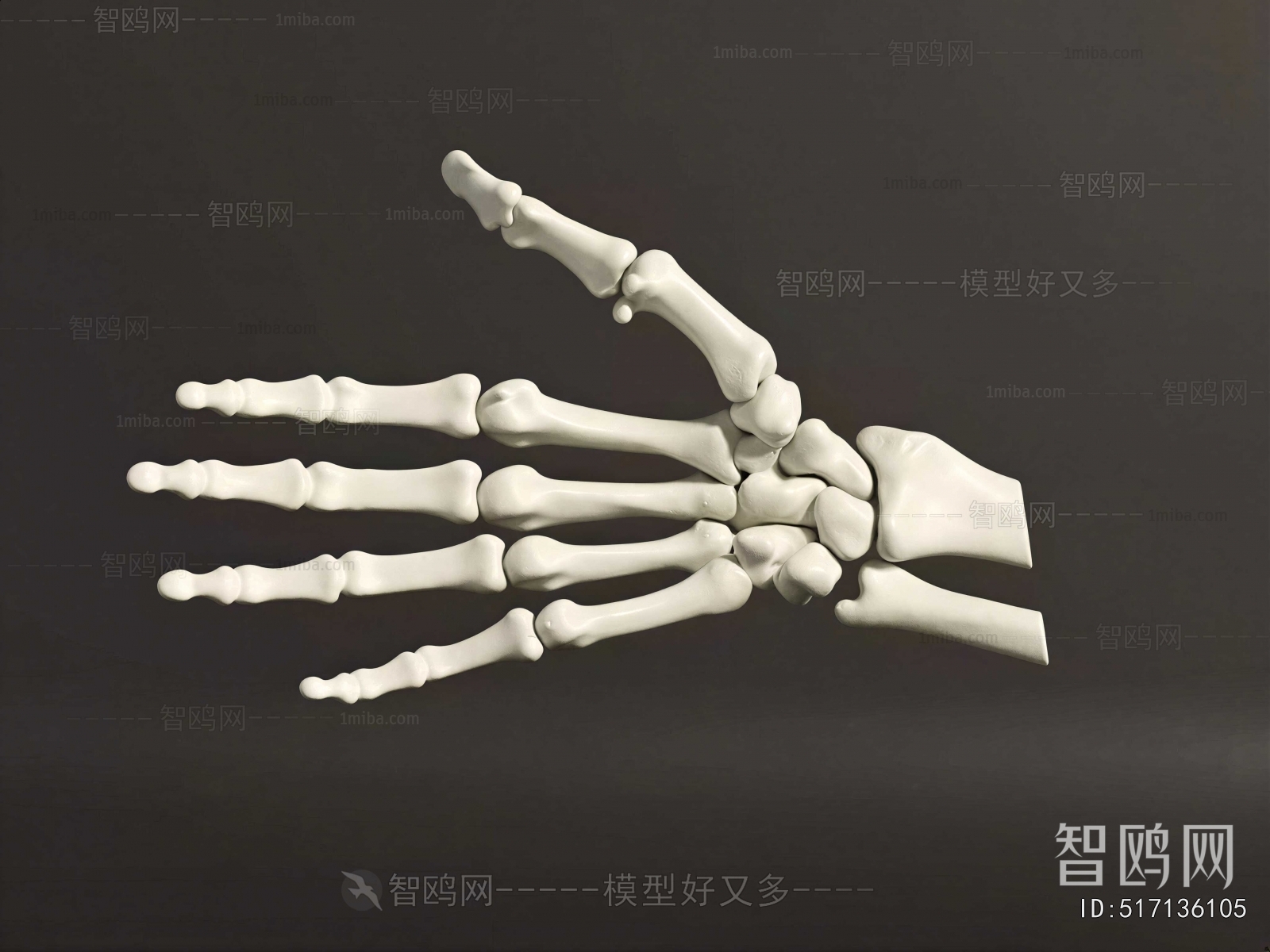 Modern Medical Equipment