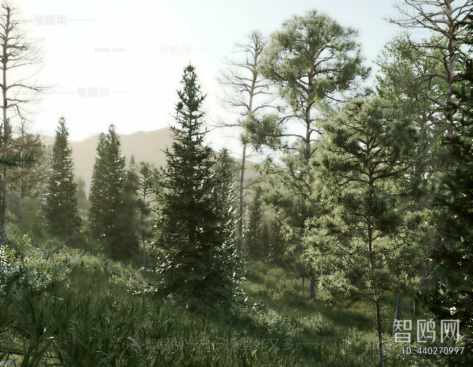 Modern Landscape