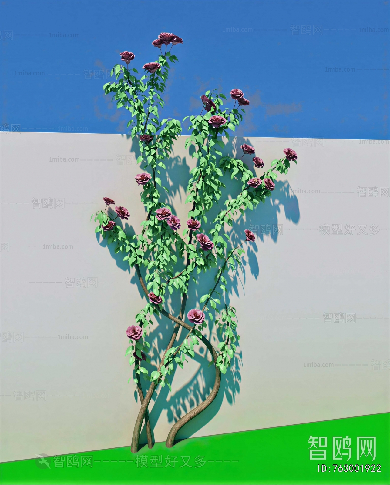 Modern Vine
