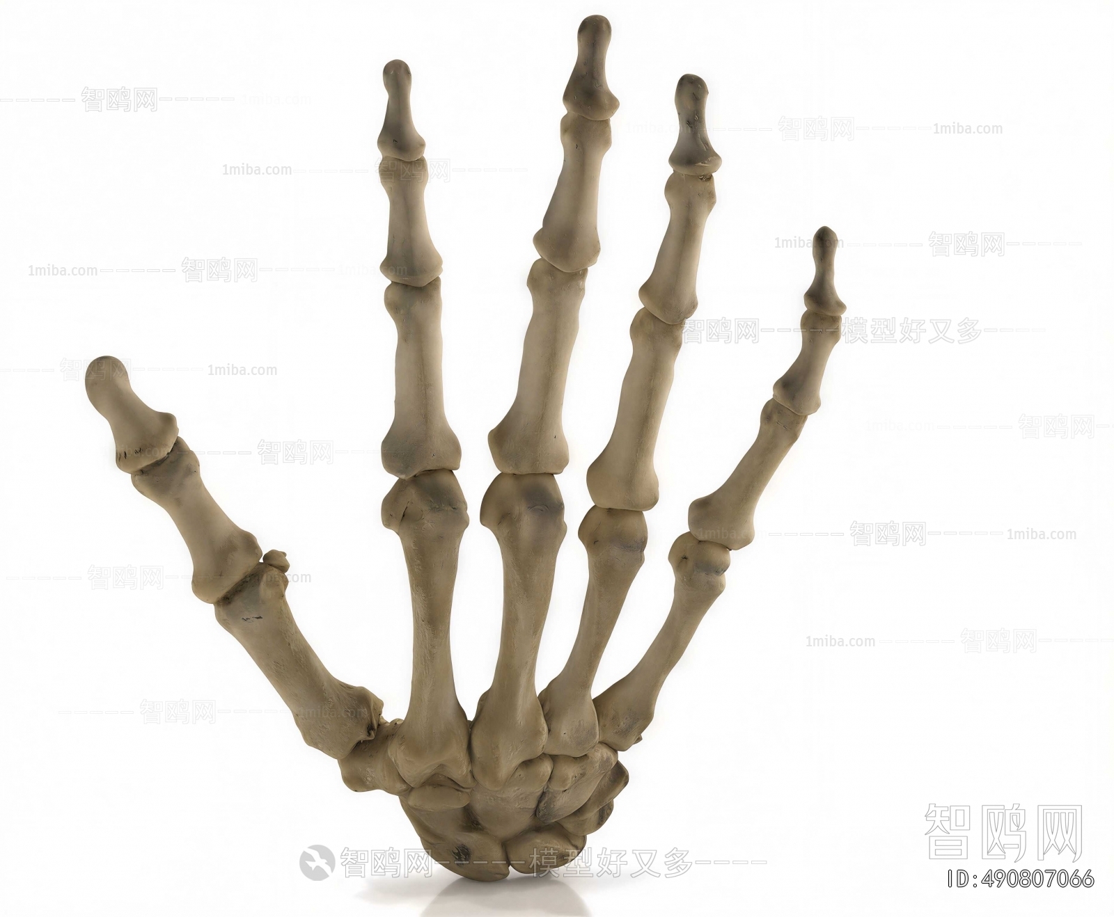 Modern Medical Equipment