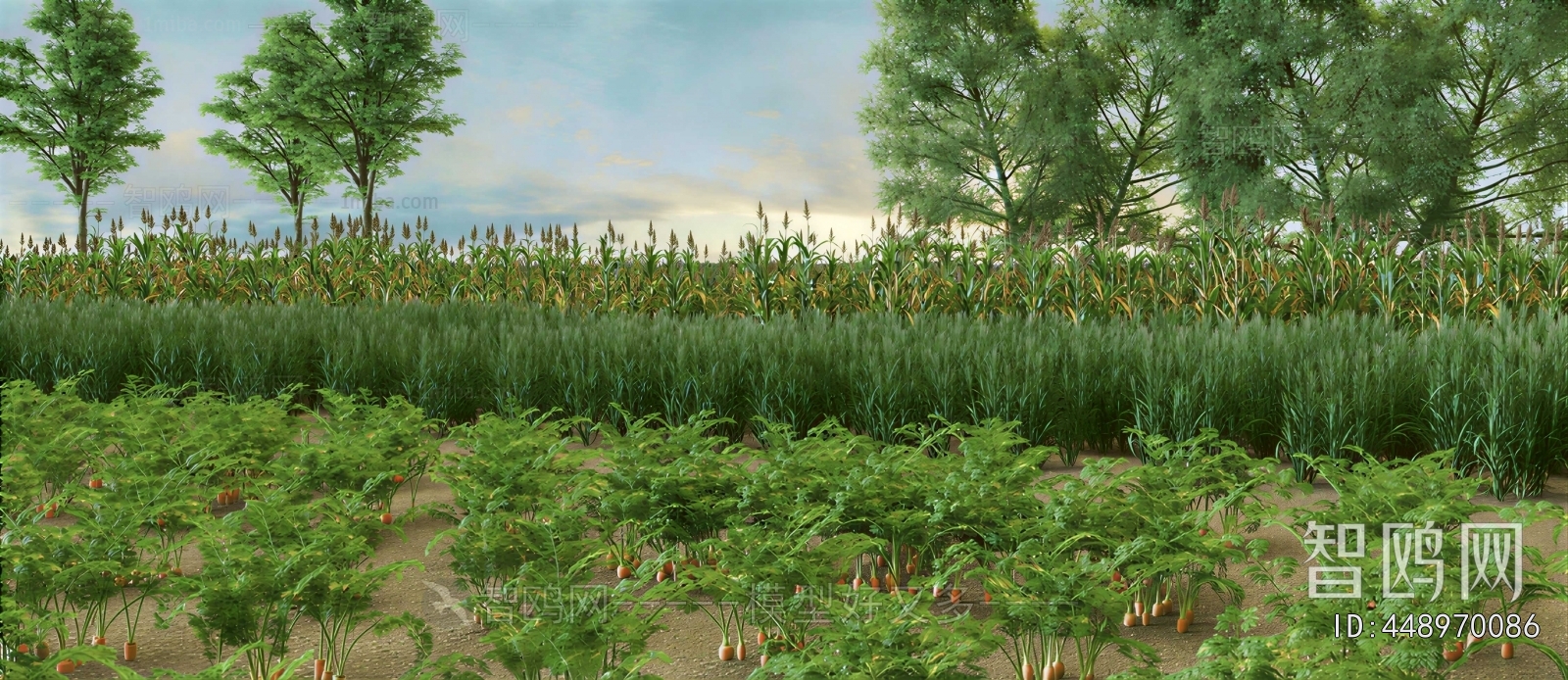 Modern Crop