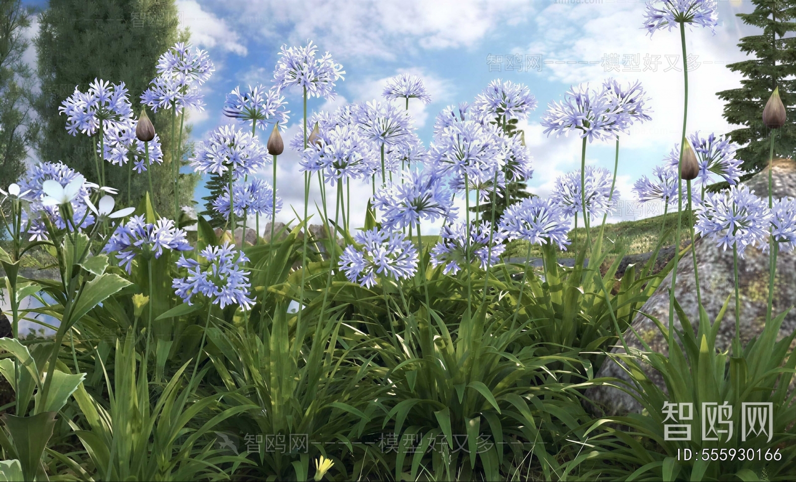 Modern Flowers And Grass