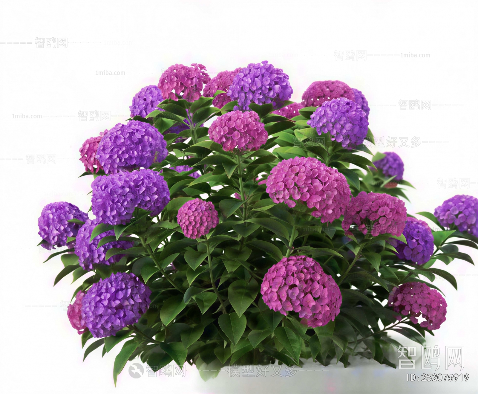 Modern Shrubbery