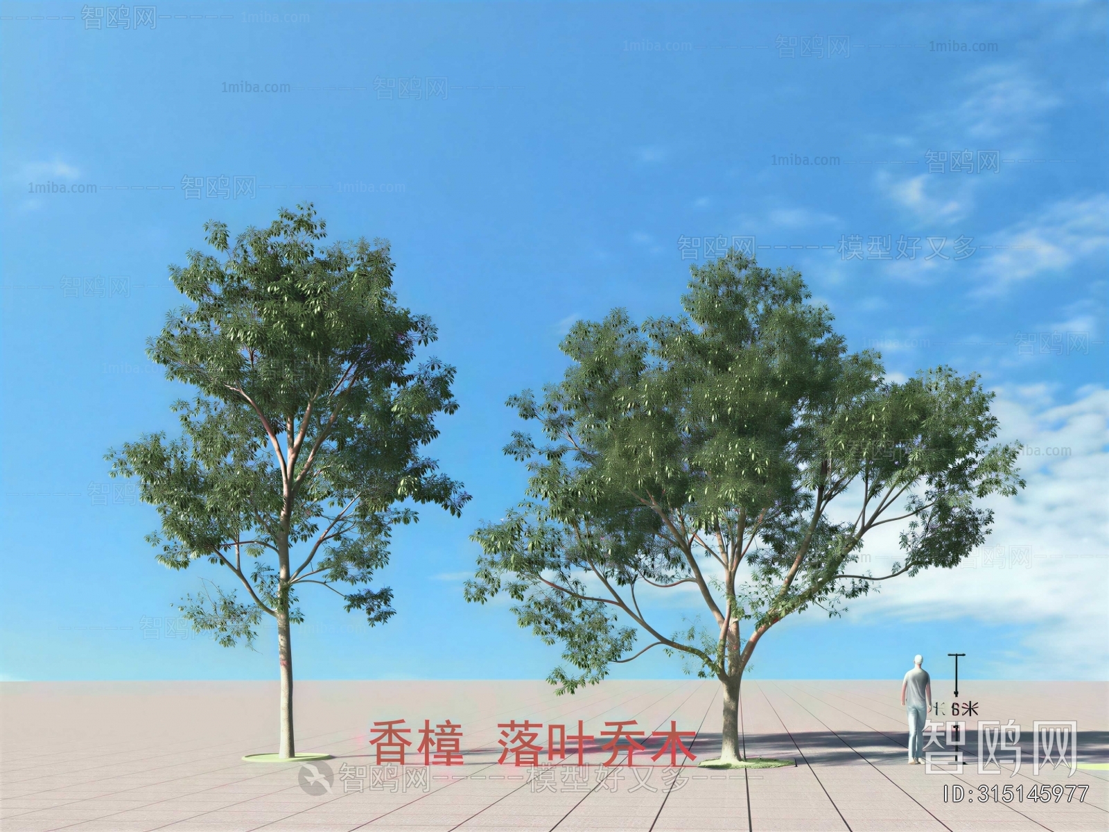 Modern Tree