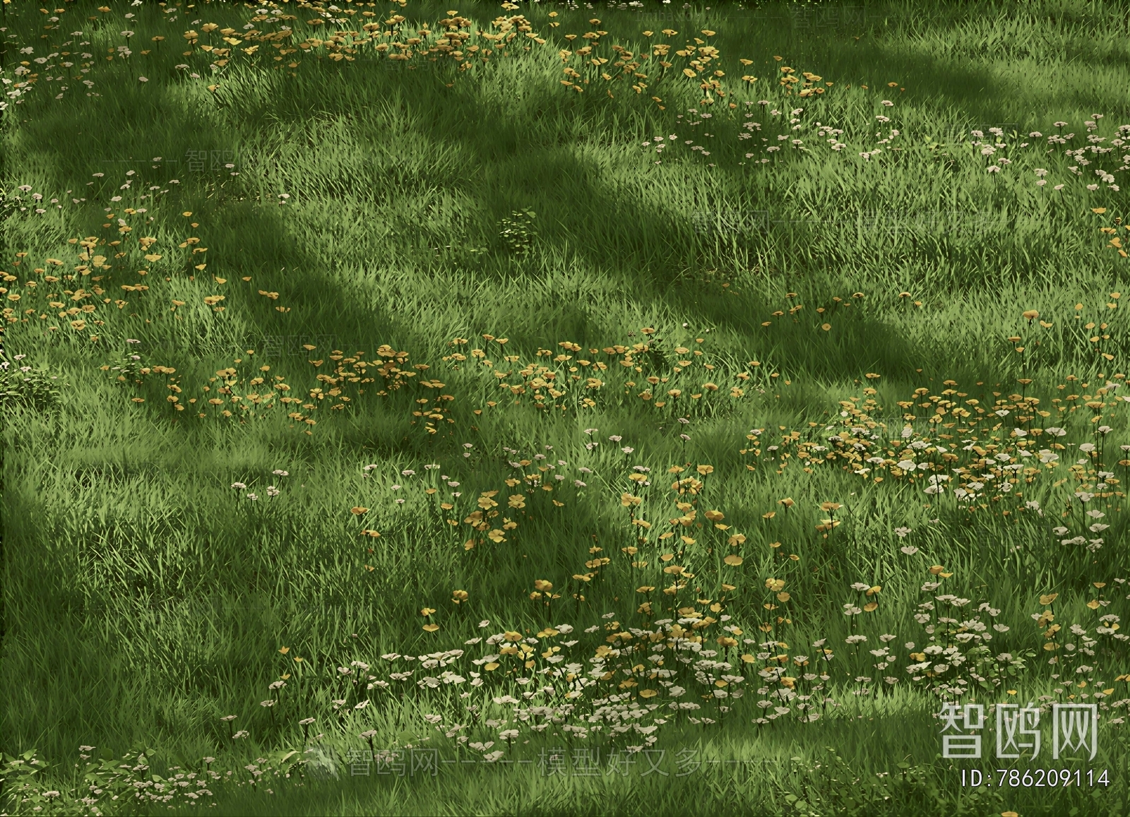 Modern The Grass