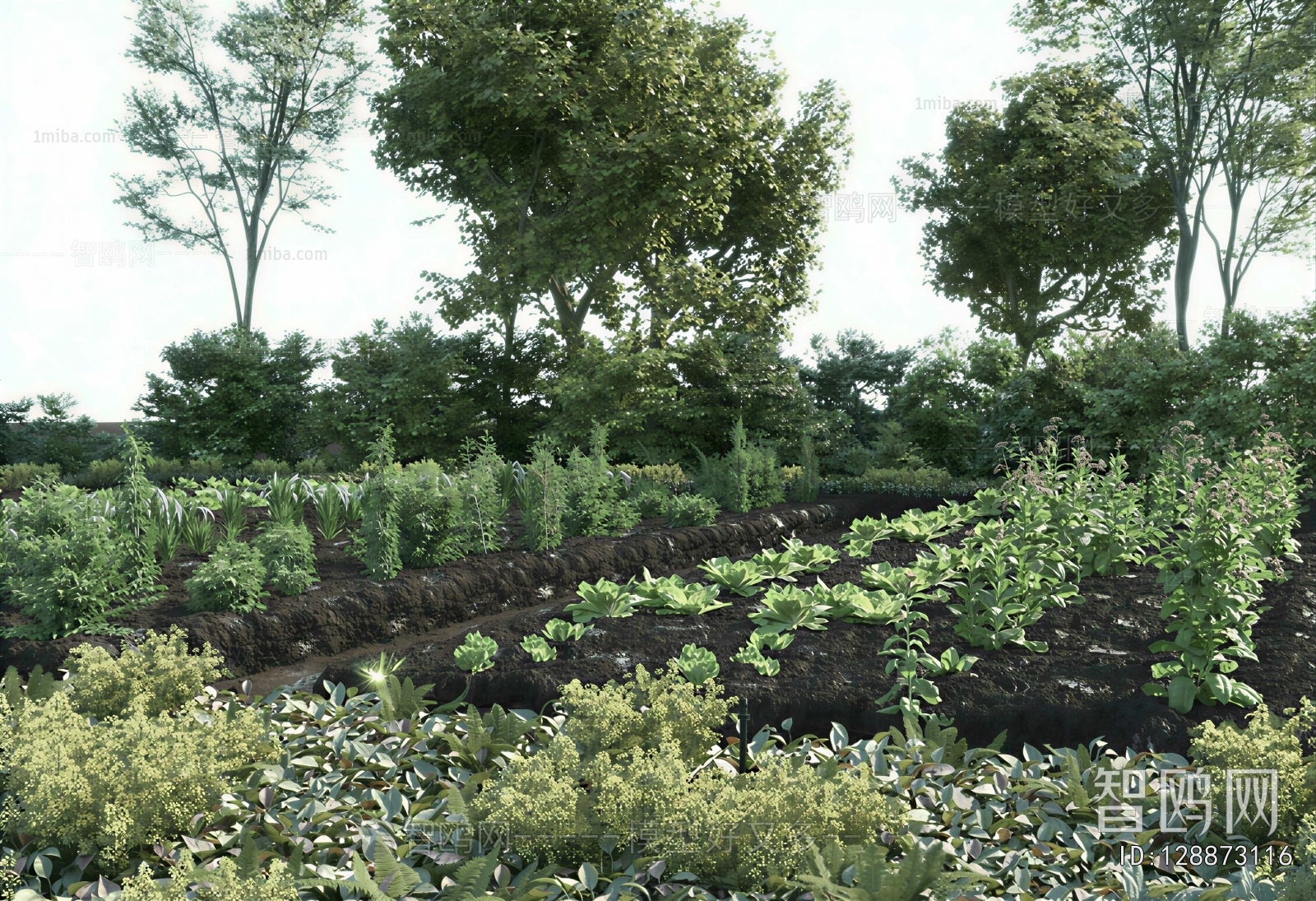 Modern Crop
