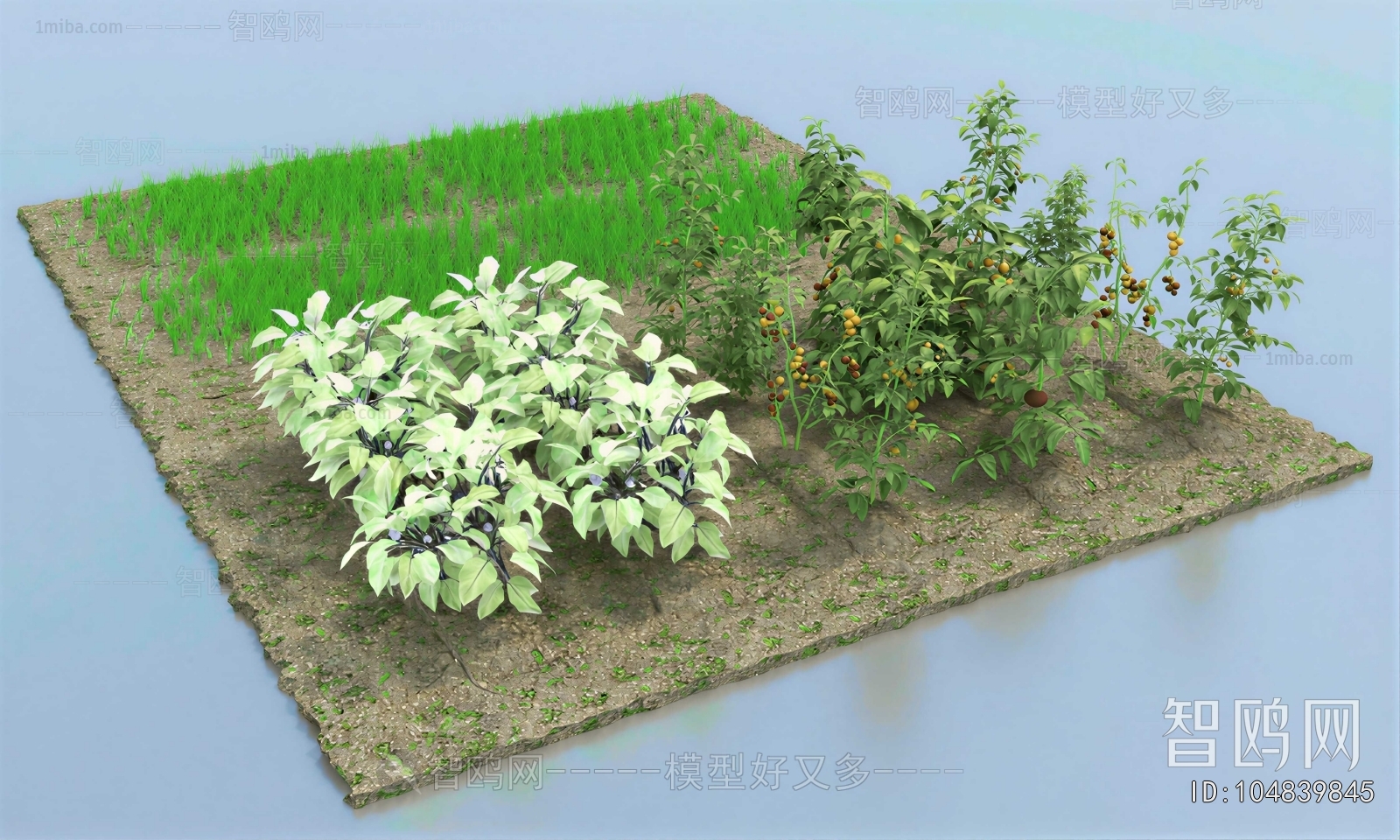 Modern Crop