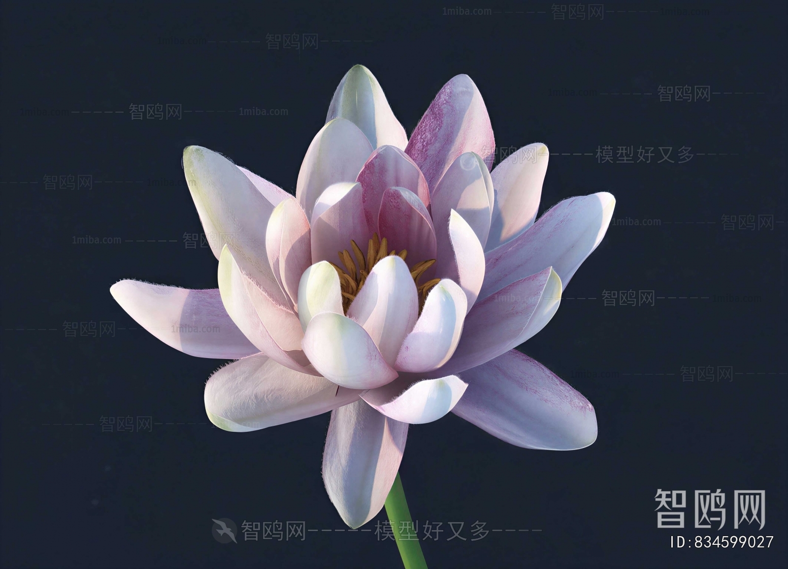 Modern Flowers And Grass