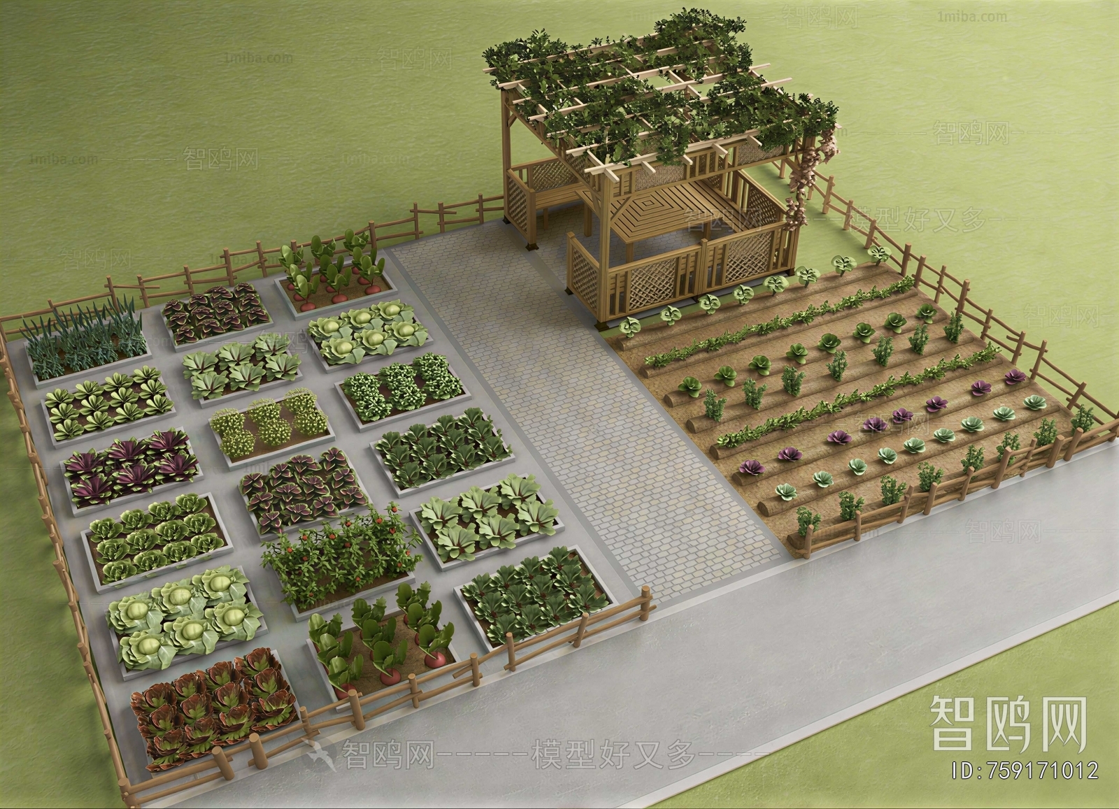Modern Crop