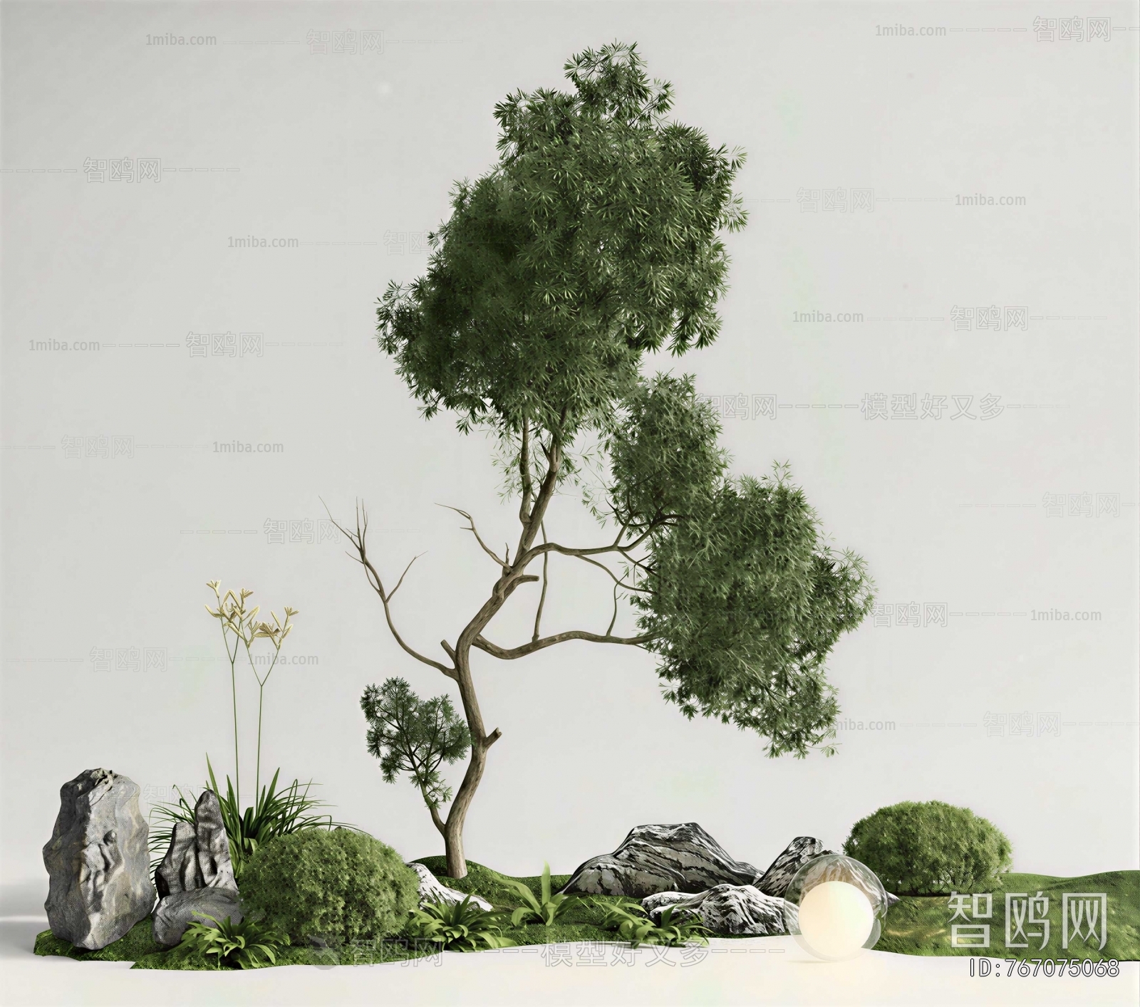 Modern Plant Landscaping