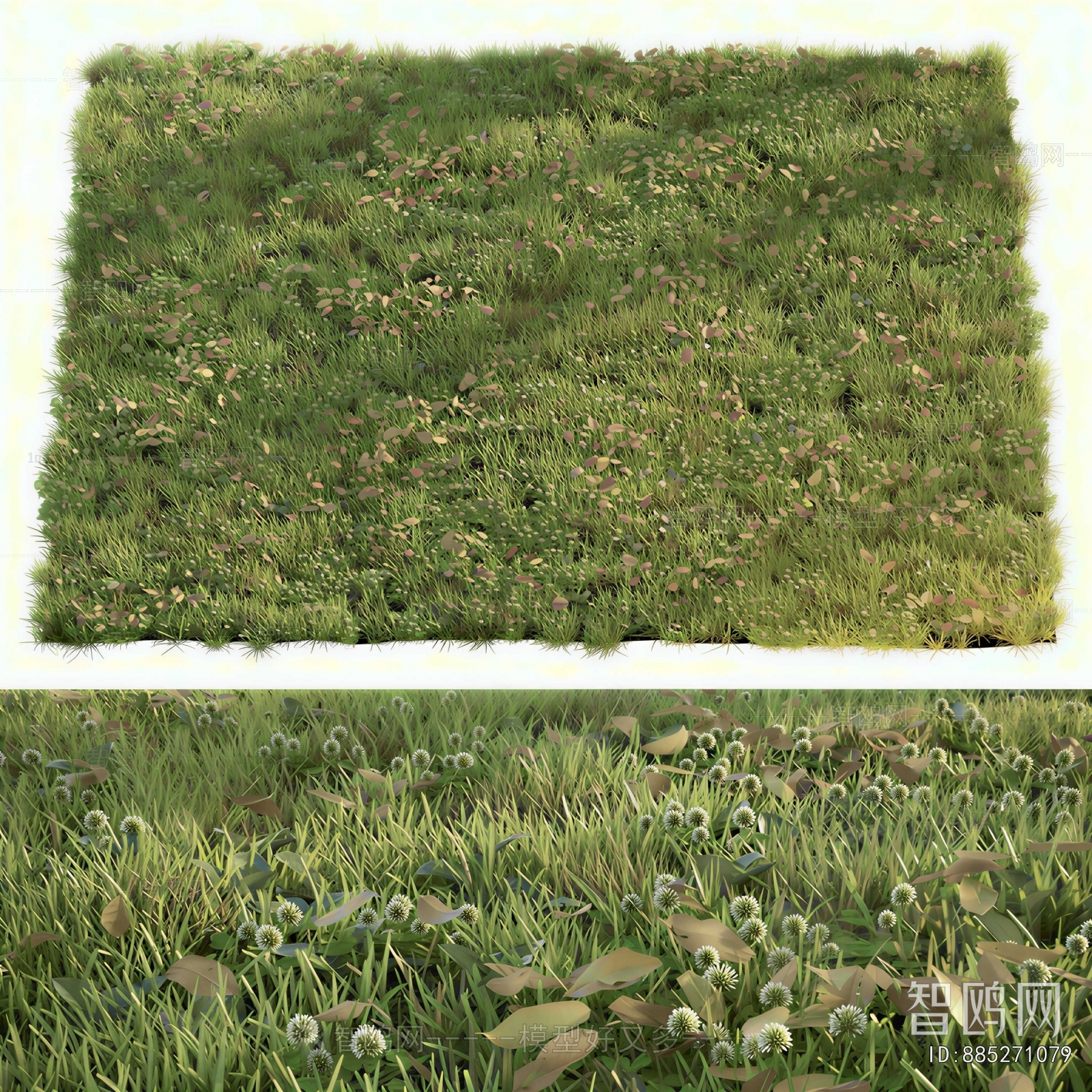 Modern The Grass