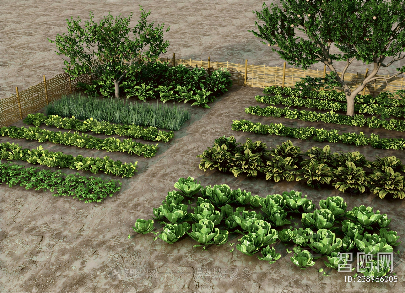 Modern Crop