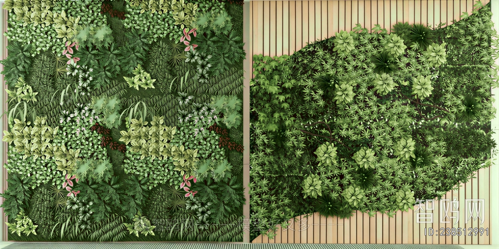 Modern Plant Wall