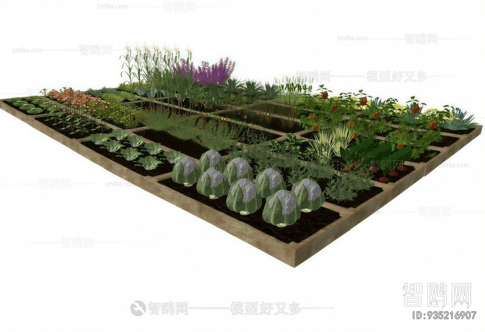 Modern Crop