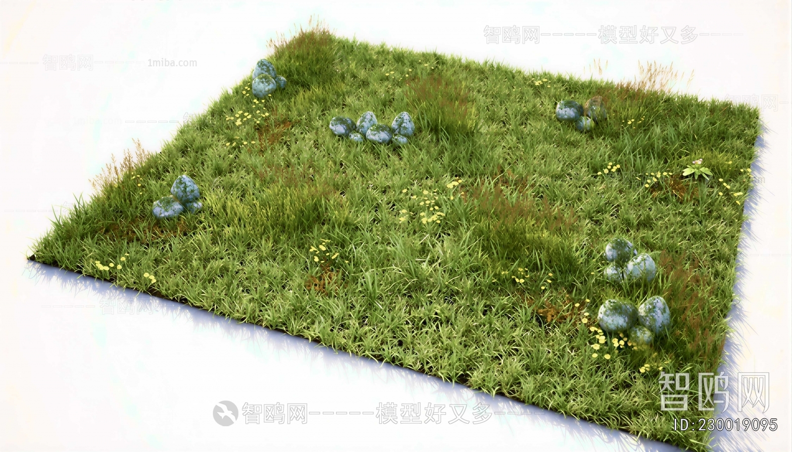 Modern Flowers And Grass
